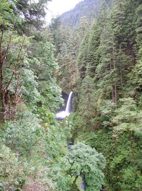 6.03.06 Eagle Creek 008 